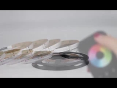 οδηγημένα φω'τα λουρίδων σπαδίκων RGBW