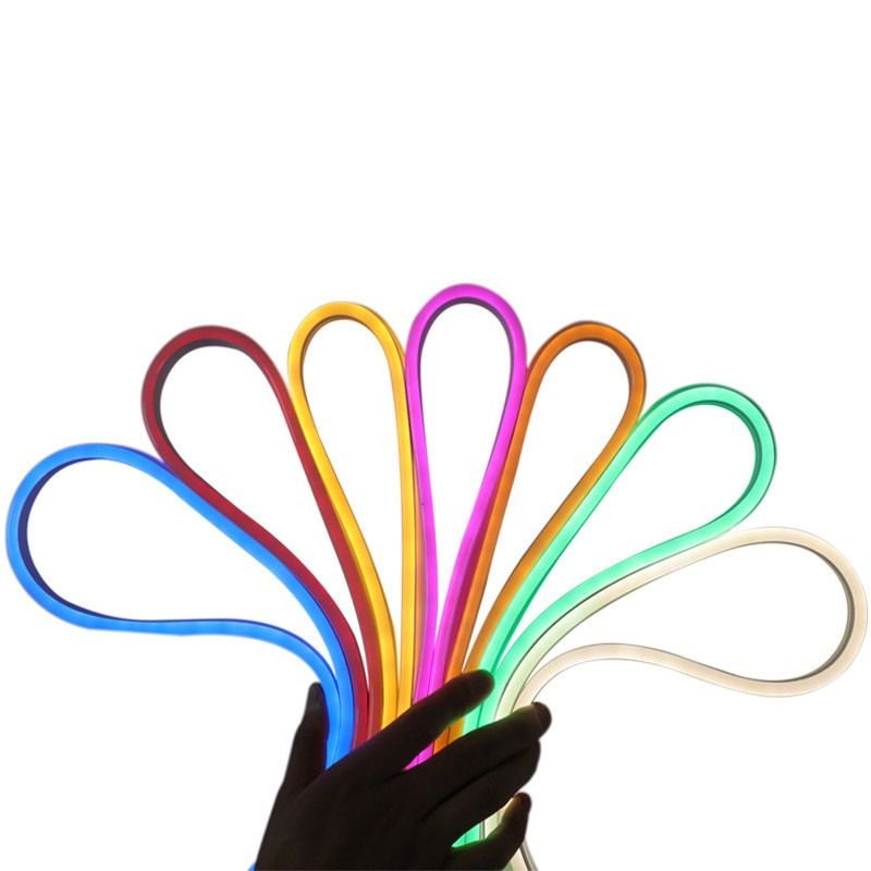 5M 12V IP68 RGB ελαφριά υπαίθρια SMD νέου εύκαμπτη συνήθεια τοπίων Χριστουγέννων λουρίδων