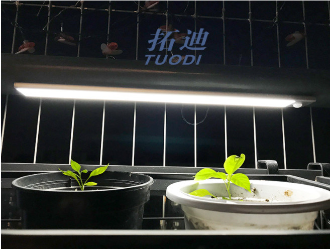 Φως γραφείου αισθητήρων κινήσεων των ασύρματων οδηγήσεων USB επανακαταλογηστέων εύκαμπτων κάτω από το αντίθετο φως φωτισμού ντουλαπιών