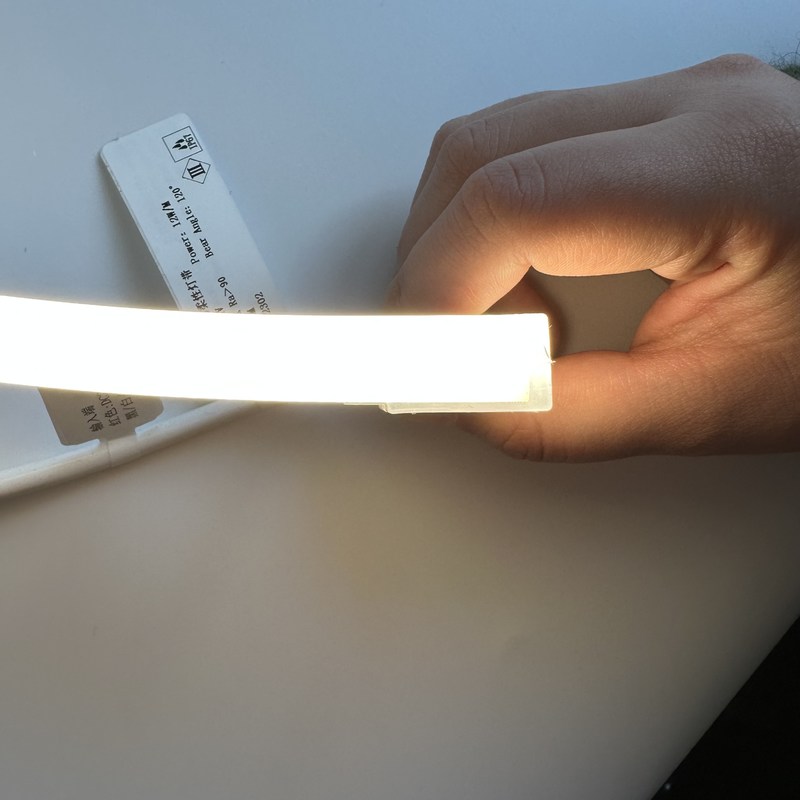 Λουρίδα ελαφρύ 2700K νέου σιλικόνης οδηγήσεων - 6000K/RGBW/DMX512 φως νέου 1212 16116 24V 1010