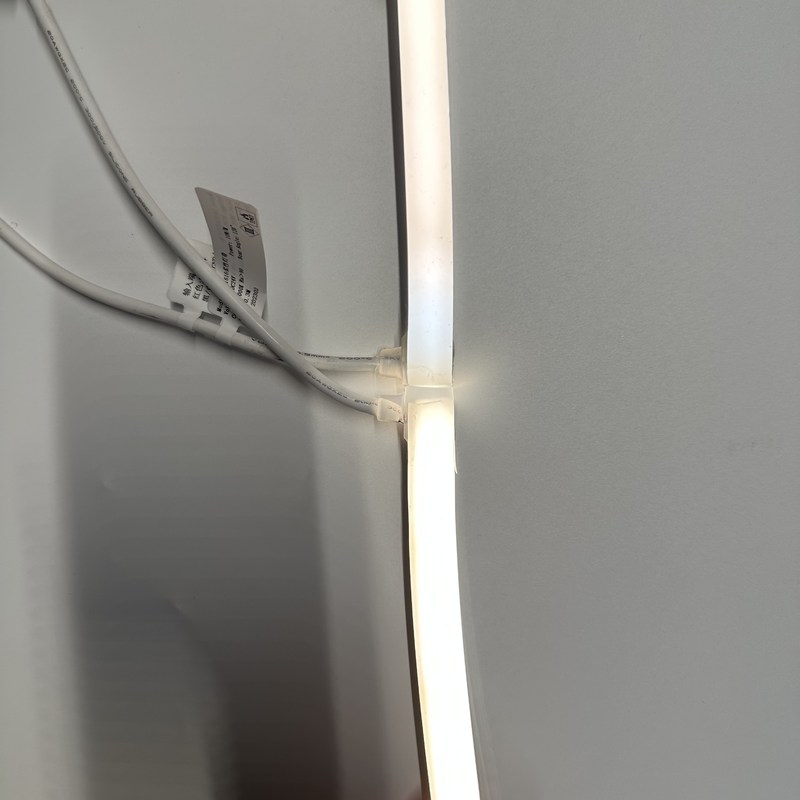 Λουρίδα ελαφρύ 2700K νέου σιλικόνης οδηγήσεων - 6000K/RGBW/DMX512 φως νέου 1212 16116 24V 1010